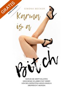 Karma_Bitch_234x300 Für Alle, die Karma endlich verstehen wollen
